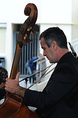 A Tree for Two à Biot en 2008