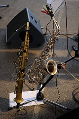 A Tree for Two à Biot en 2008