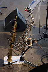 A Tree for Two à Biot en 2008