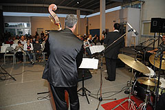 A Tree for Two à Biot en 2008