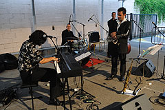 A Tree for Two à Biot en 2008