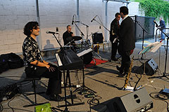 A Tree for Two à Biot en 2008