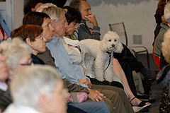 Viale Quartet à Biot Village en 2008