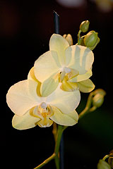 Biot Carte Blanche au Paysage 2008