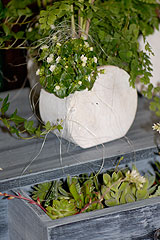 Biot Carte Blanche au Paysage 2008