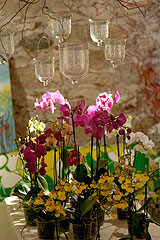 Biot Carte Blanche au Paysage 2008