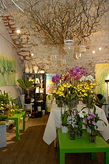 Biot Carte Blanche au Paysage 2008