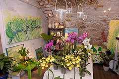 Biot Carte Blanche au Paysage 2008