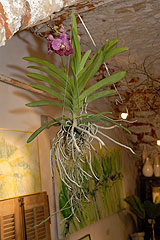 Biot Carte Blanche au Paysage 2008