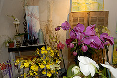 Biot Carte Blanche au Paysage 2008