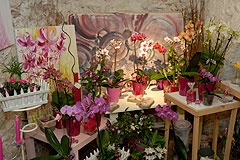 Biot Carte Blanche au Paysage 2008