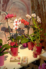 Biot Carte Blanche au Paysage 2008