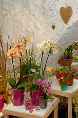 Biot Carte Blanche au Paysage 2008