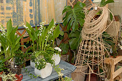 Biot Carte Blanche au Paysage 2008