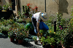 Biot Carte Blanche au Paysage 2008