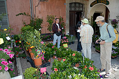 Biot Carte Blanche au Paysage 2008