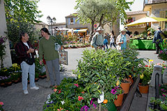 Biot Carte Blanche au Paysage 2008