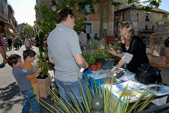 Biot Carte Blanche au Paysage 2008