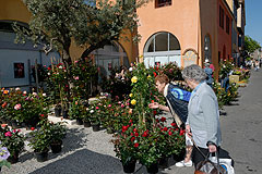 Biot Carte Blanche au Paysage 2008
