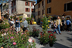 Biot Carte Blanche au Paysage 2008