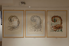 Exposition Peynet à Biot en 2008