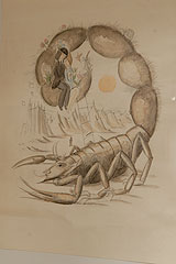 Exposition Peynet à Biot en 2008