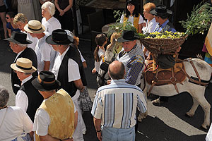 La fête des vendanges à Biot en 2009