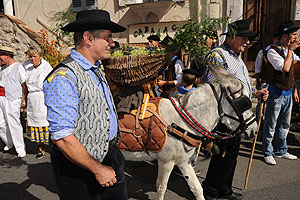 La fête des vendanges à Biot en 2009