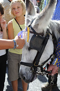 La fête des vendanges à Biot en 2009