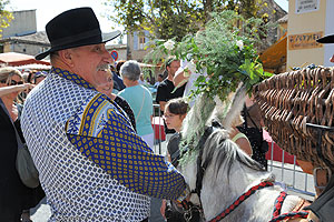 La fête des vendanges à Biot en 2009
