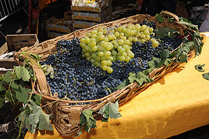 La fête des vendanges à Biot en 2009
