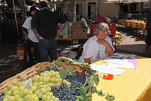 La fête des vendanges à Biot en 2009