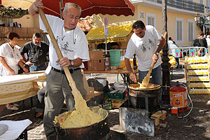 La fête des vendanges à Biot en 2009