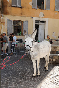 La fête des vendanges à Biot en 2009