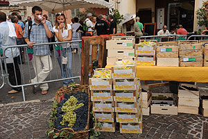 La fête des vendanges à Biot en 2009