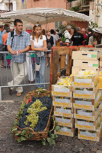 La fête des vendanges à Biot en 2009