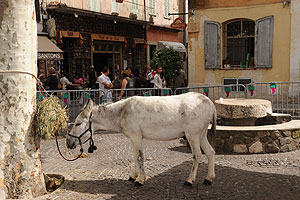La fête des vendanges à Biot en 2009