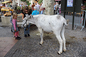 La fête des vendanges à Biot en 2009