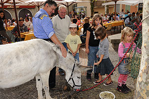La fête des vendanges à Biot en 2009
