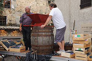 La fête des vendanges à Biot en 2009