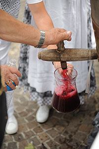 La fête des vendanges à Biot en 2009