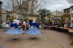 Fête du Mimosa à Biot en 2008