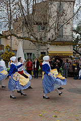 Fête du Mimosa à Biot en 2008