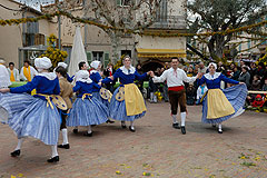 Fête du Mimosa à Biot en 2008