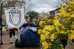 Fête du Mimosa à Biot en 2008