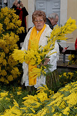 Fête du Mimosa à Biot en 2008