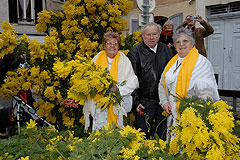 Fête du Mimosa à Biot en 2008