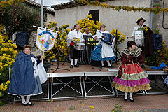Fête du Mimosa à Biot en 2008
