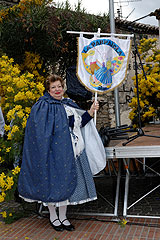 Fête du Mimosa à Biot en 2008