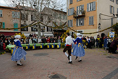 Fête du Mimosa à Biot en 2008